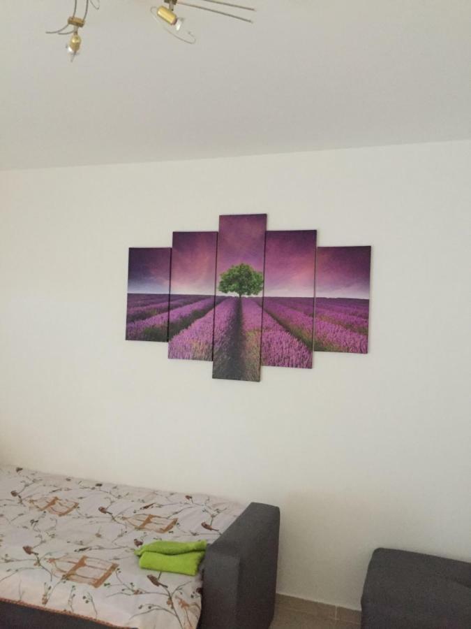 Apartment Brno Пула Екстериор снимка